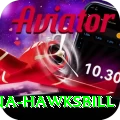 antigua hawksbill Elite v5.6.0