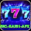 bbl big bash apk Apps (Tools & Injectors) Elite v3.9.7