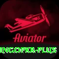 bingopkr Elite v1.1.4
