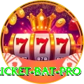 cricket bat Money Supreme v2.7.5