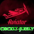 cricket jersey Ultimate Pro v3.4.9