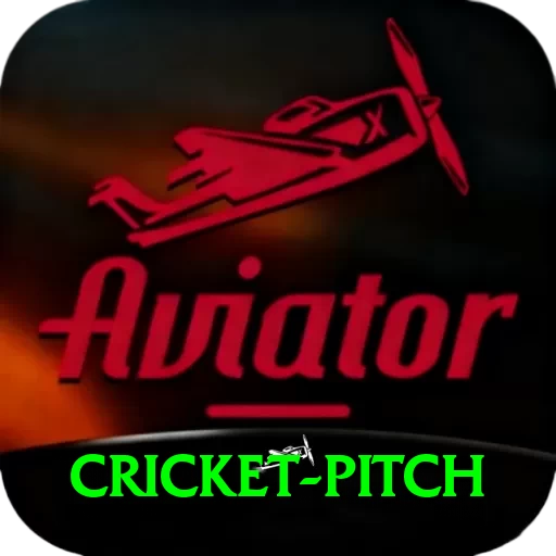 cricket pitch Pro1 v1.3.9 - 2