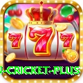 fastest ball in cricket King New