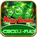 god of cricket Bonus Champion v1.4.4