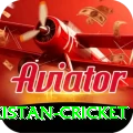 india pakistan cricket Master v1.0.0