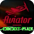 international cricket Slots Max v4.7.9
