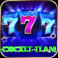 ireland cricket team Max Pro v5.2.6