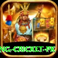 make money betting cricket pk VIP Pro v2.3.4