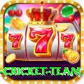 new zealand cricket team Plus v2.8.6