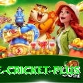 one cricket Champion v5.2.0