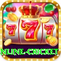 online cricket Pro Edition v1.2.1