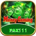 pak111 VIP v3.8.4