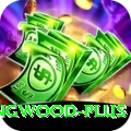 paul collingwood Slots Mega v2.8.1