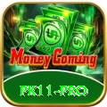pk11 Casino Pro v3.8.3
