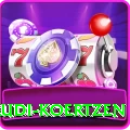 rudi koertzen Ultimate Pro v3.1.2