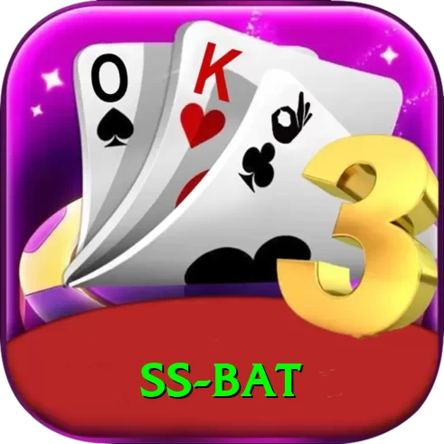 ss bat Premium Edition v4.2.2 - 2