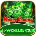 under 19 cricket world cup Premium Edition v2.4.9