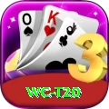 wc t20 Turbo Pro v4.3.6
