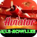 wicket hauls bowlers Pro1 v2.1.4