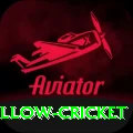 willow cricket Plus Edition v5.0.5